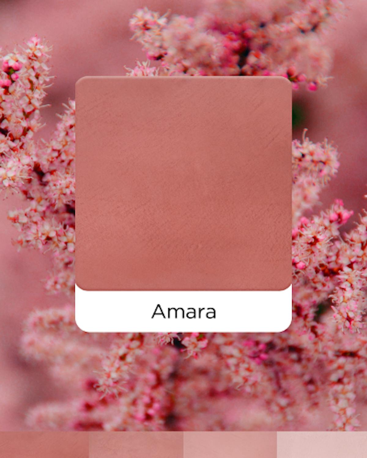 モールテックス 新色 2024年 Amara