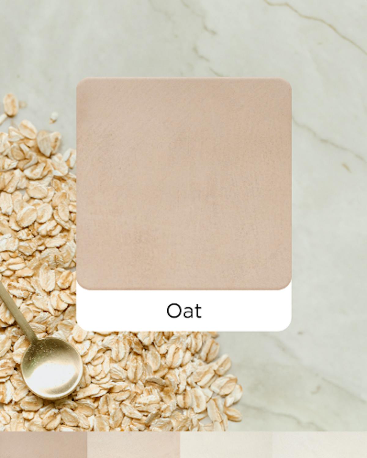 モールテックス 新色 2024年 Oat