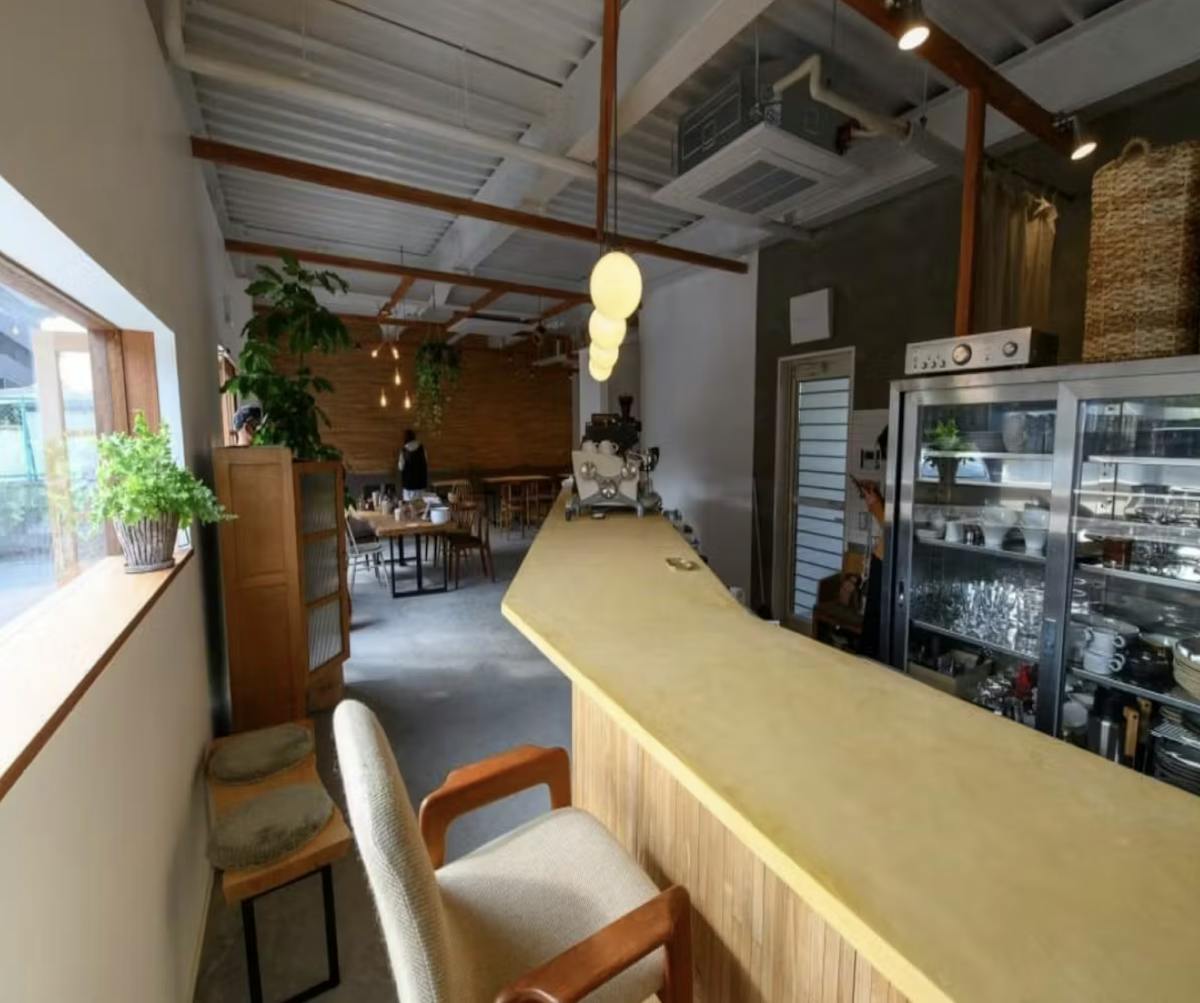 モールテックス カフェ