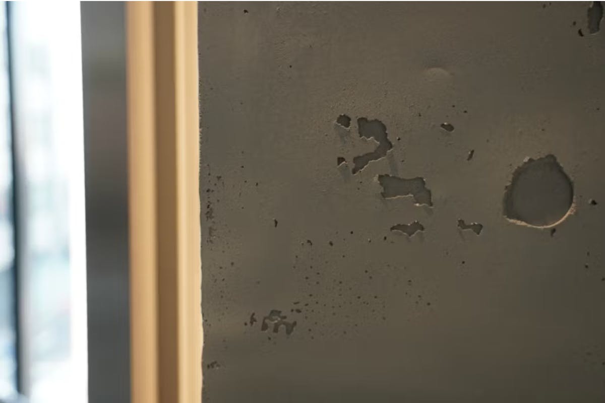 フレスカラリ　フレスコトン