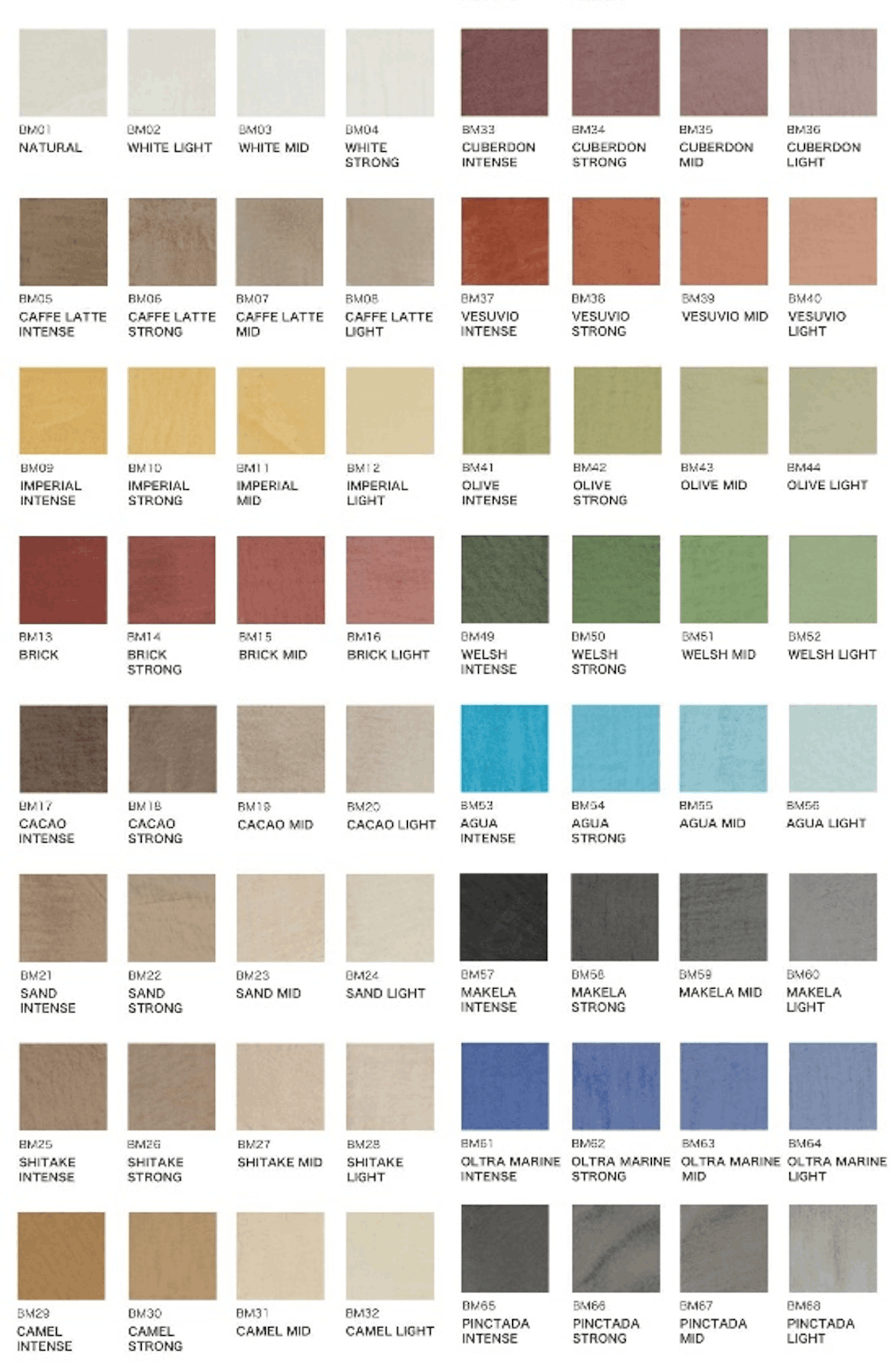 左官材料モールテックスのカラー