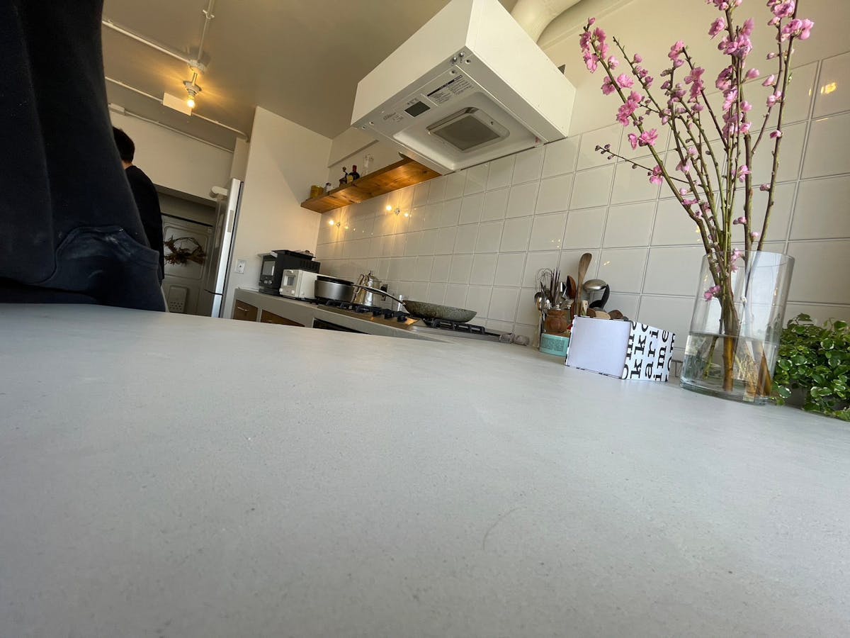 モールテックス