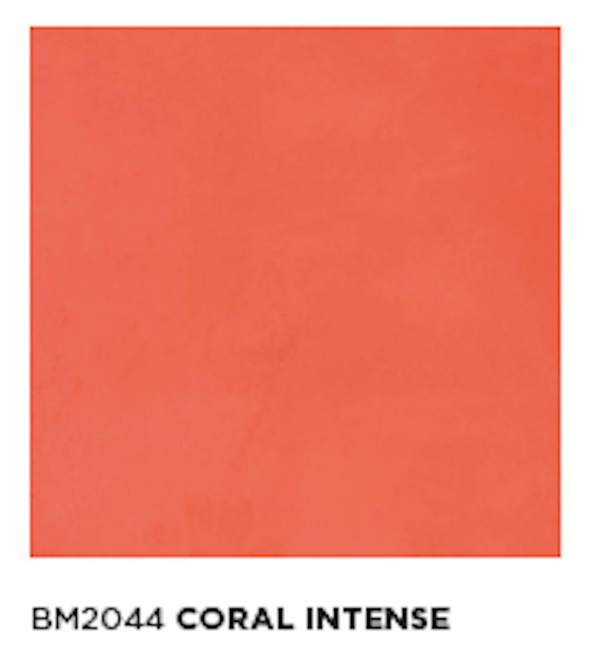 モールテックス塗サンプル BM2044