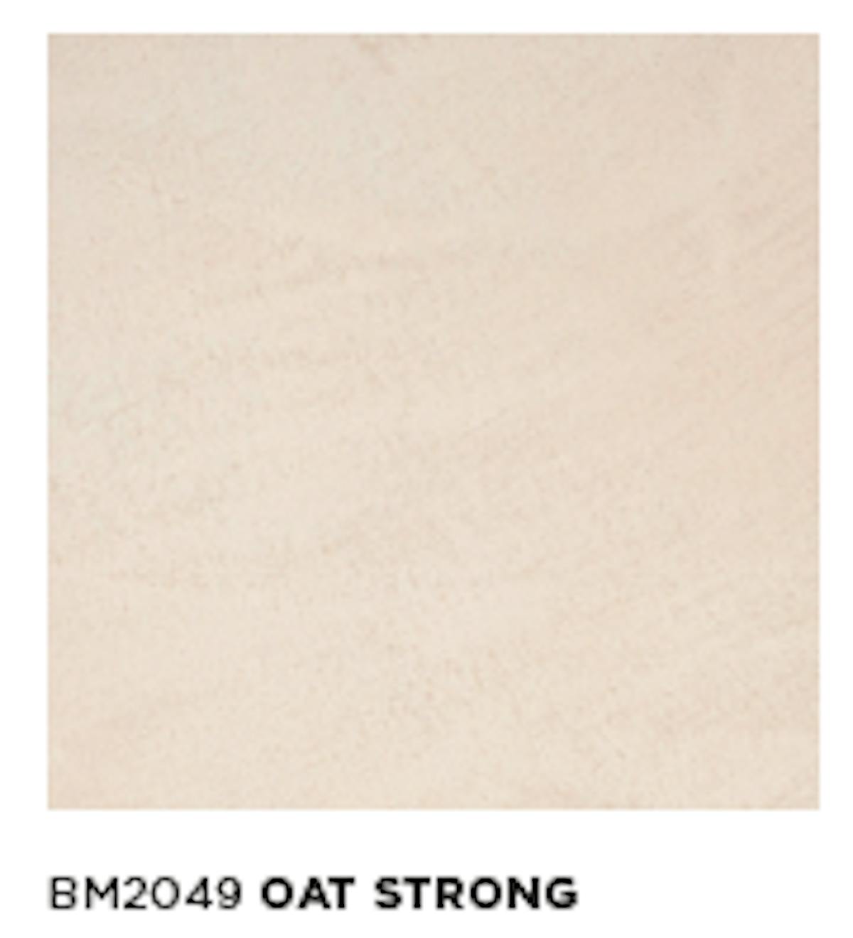 モールテックス塗サンプル BM2049