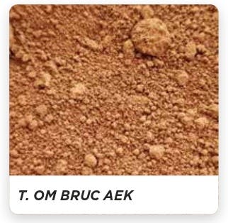 モールテックスの顔料 T.OM.BRUC AEK 300g SAND